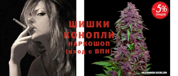 PSILOCYBIN Михайлов