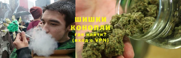 PSILOCYBIN Михайлов