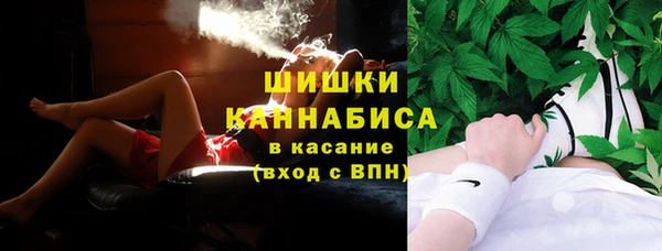 PSILOCYBIN Михайлов