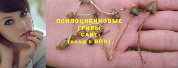 соль курить ск Михайловка