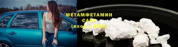 PSILOCYBIN Михайлов