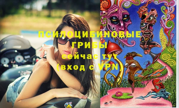 соль курить ск Михайловка