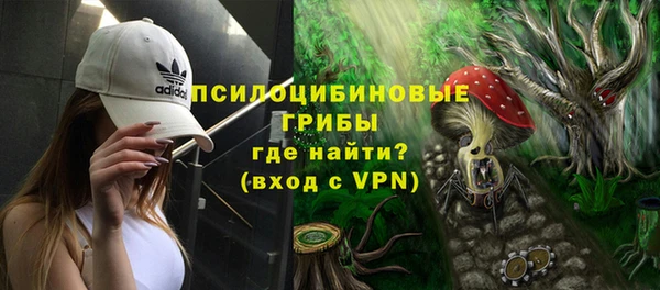 PSILOCYBIN Михайлов
