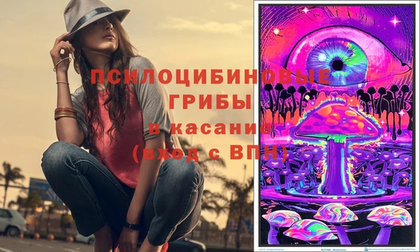 соль курить ск Михайловка